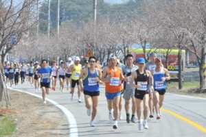 2012 포천 38선 하프 마라톤 안전하게 달려요!!!
